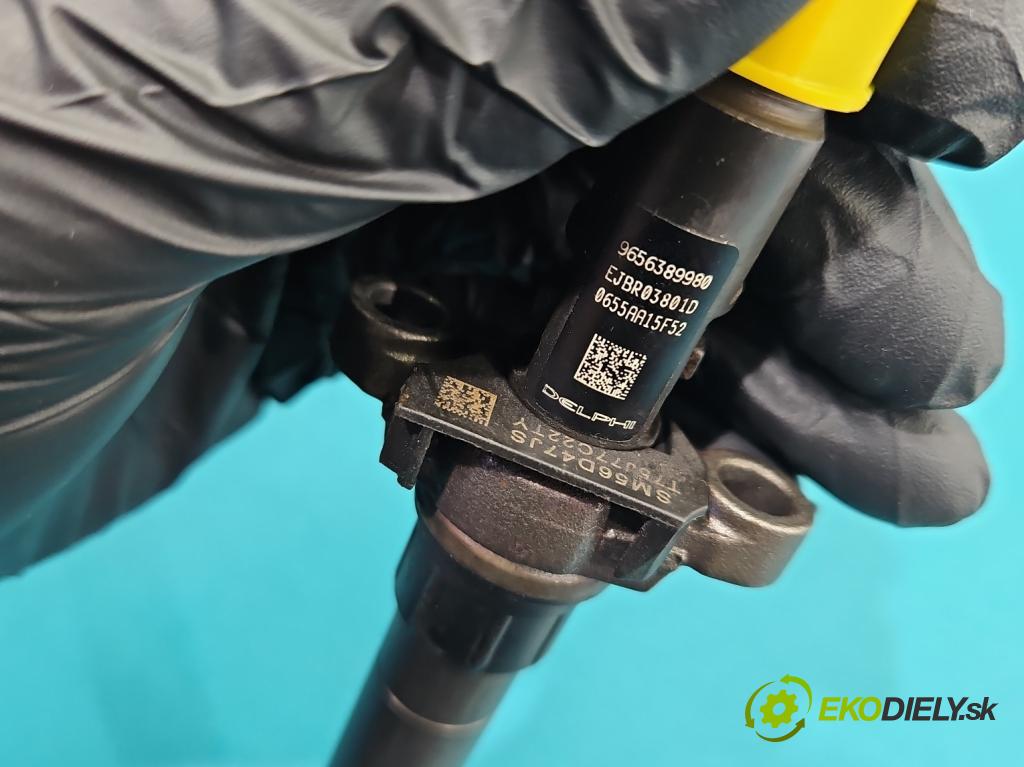 Citroen C5 II 2008-2017 2.0 hdi 136 HP manual 100 kW 1997 cm3 4- vstrek EJBR03801D (Vstrekovač paliva)