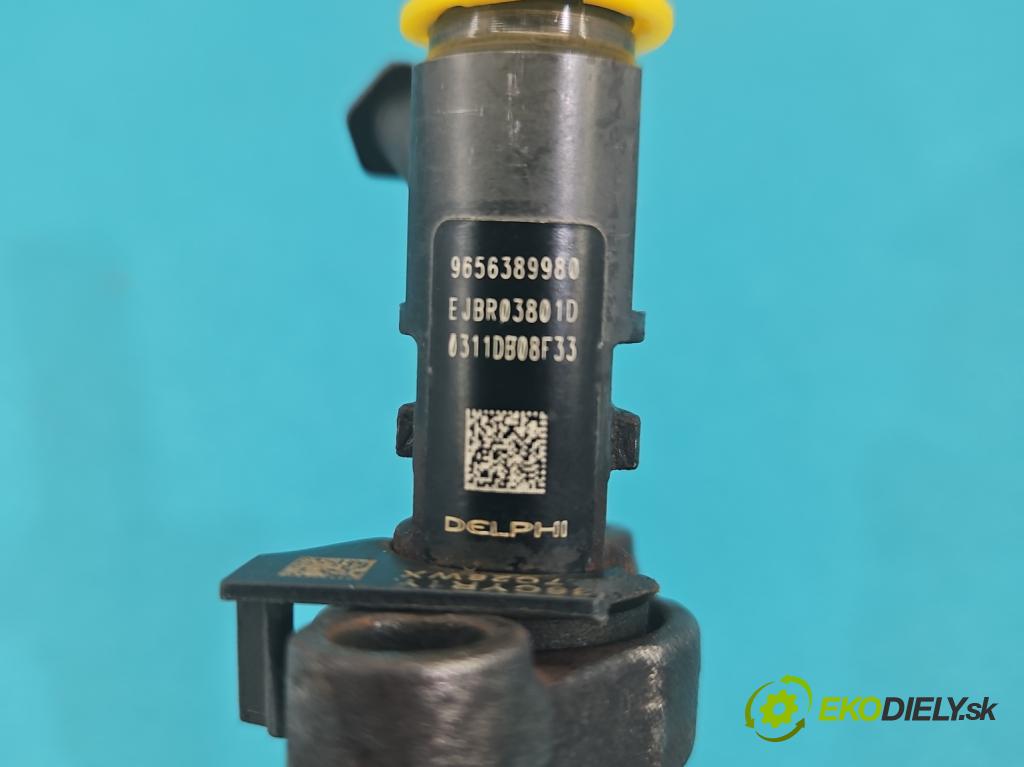 Citroen C5 II 2008-2017 2.0 hdi 136 HP manual 100 kW 1997 cm3 4- vstrek EJBR03801D (Vstrekovač paliva)