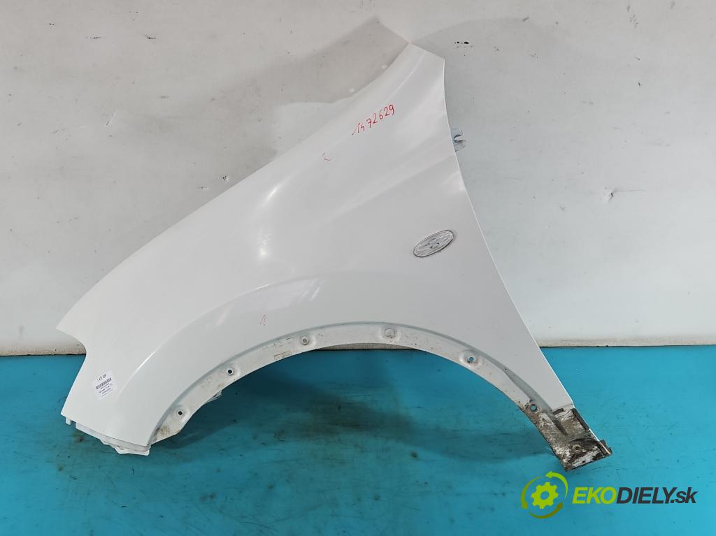 Nissan Qashqai I J10 2006-2013 2.0 dci 150 hp manual 110 kW 1995 cm3 5- blatnik přední levý  (Levý přední blatník)