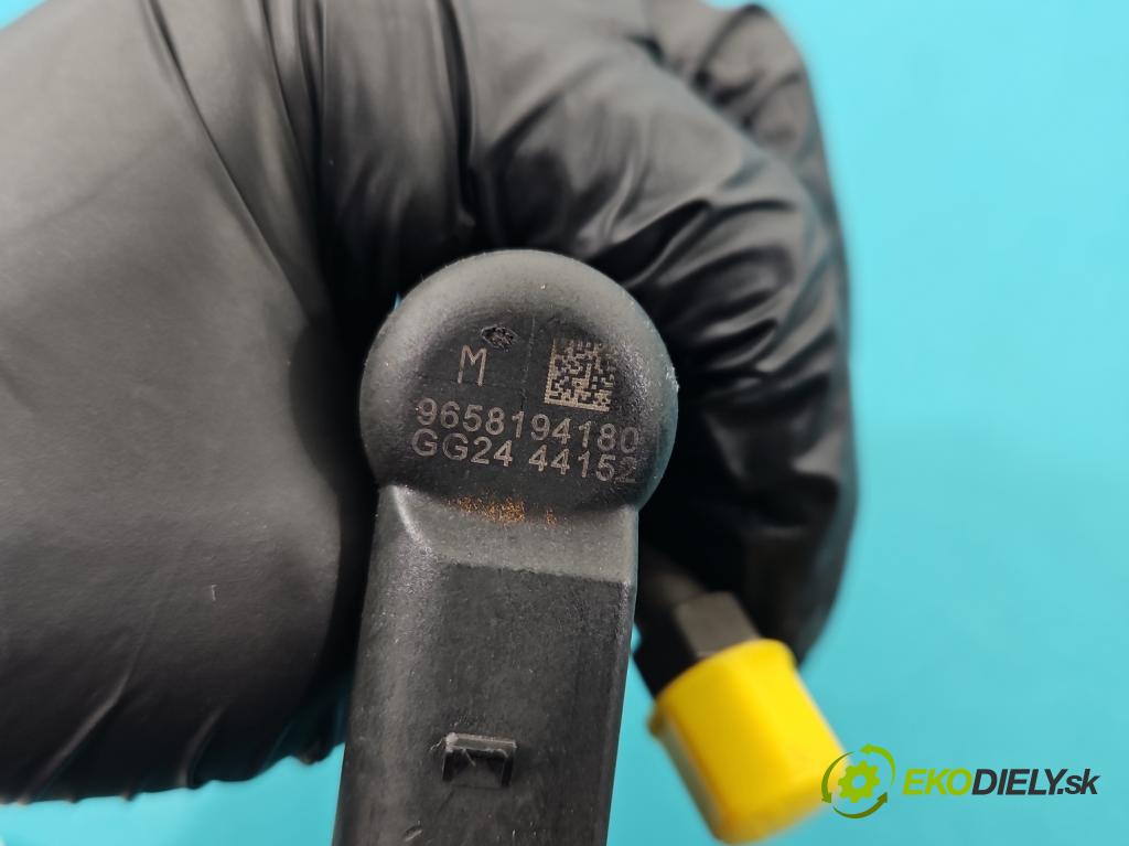 Citroen C4 Picasso I 2006-2013 2.0 hdi 136 HP automatic 100 kW 1997 cm3 5- vstrek 9658194180 (Vstrekovač paliva)