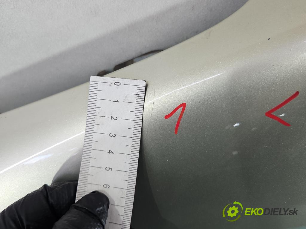 Fiat Scudo II 2006-2016 2.0 jtd 136hp manual 100 kW 1997 cm3 5- blatnik přední levý  (Levý přední blatník)