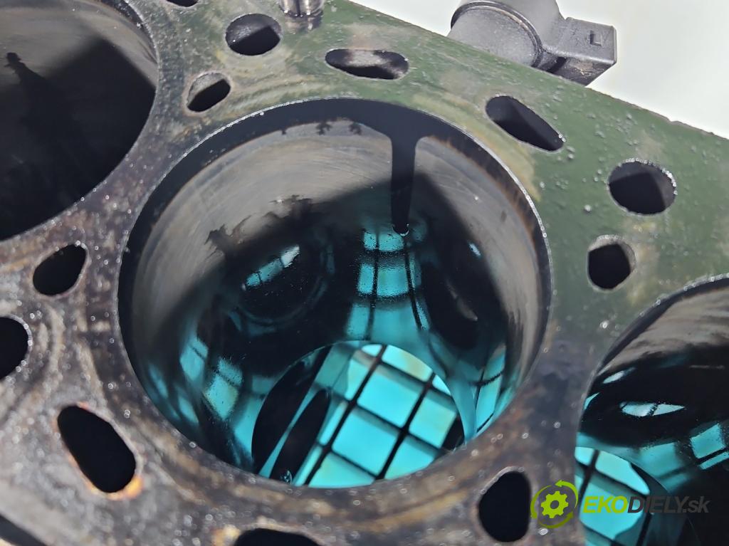 Ssangyong Rexton I 2001-2017 2.7 XDI 165 HP automatic 121 kW 2696 cm3 5- Blok motora 665925 (Blok motora)