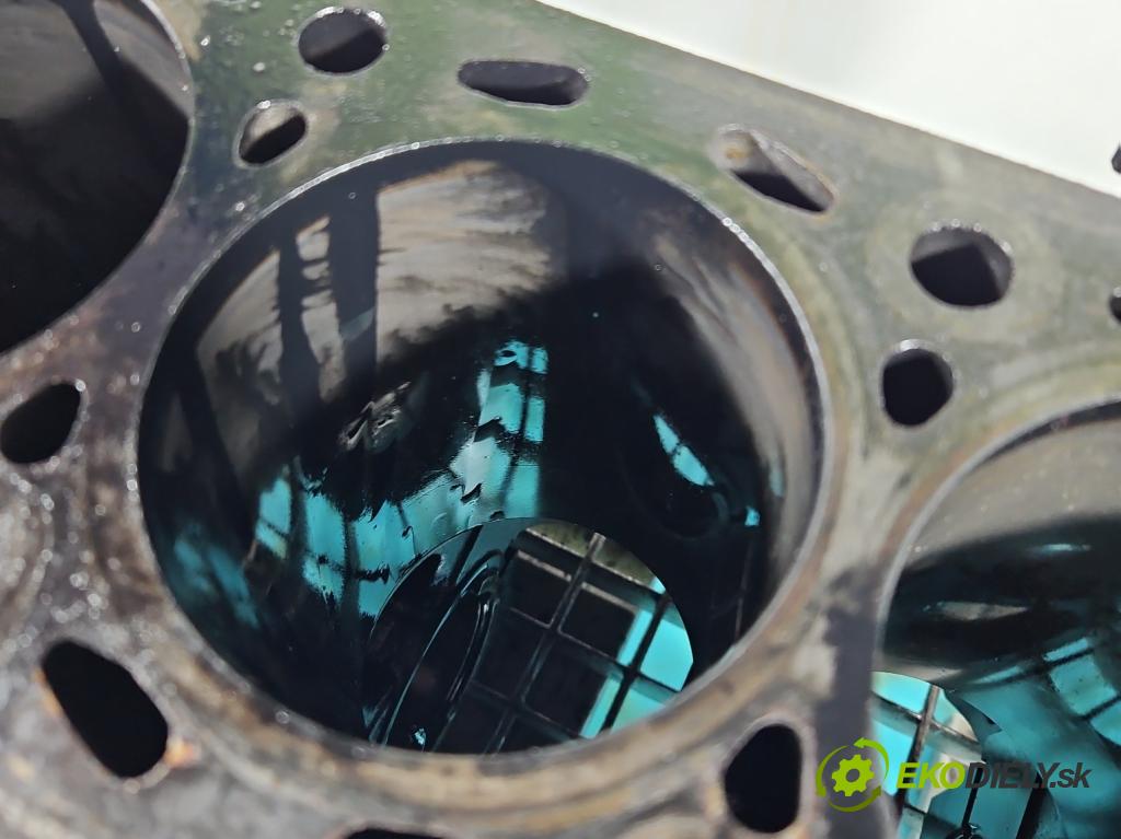 Ssangyong Rexton I 2001-2017 2.7 XDI 165 HP automatic 121 kW 2696 cm3 5- Blok motora 665925 (Blok motora)