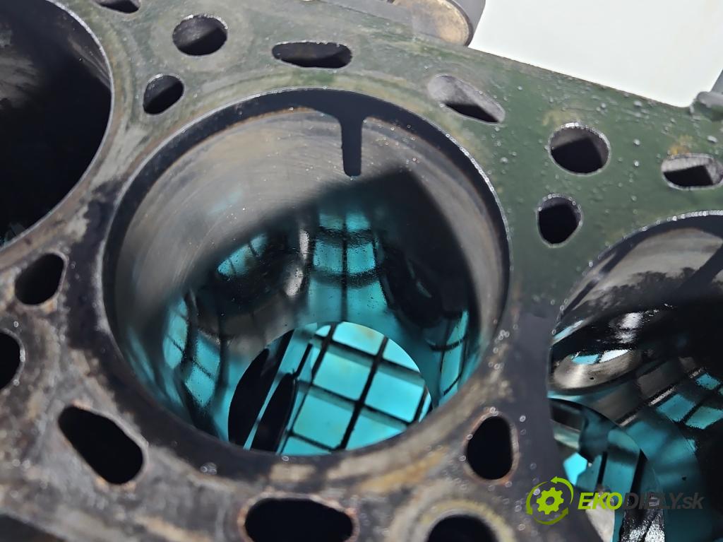 Ssangyong Rexton I 2001-2017 2.7 XDI 165 HP automatic 121 kW 2696 cm3 5- Blok motora 665925 (Blok motora)