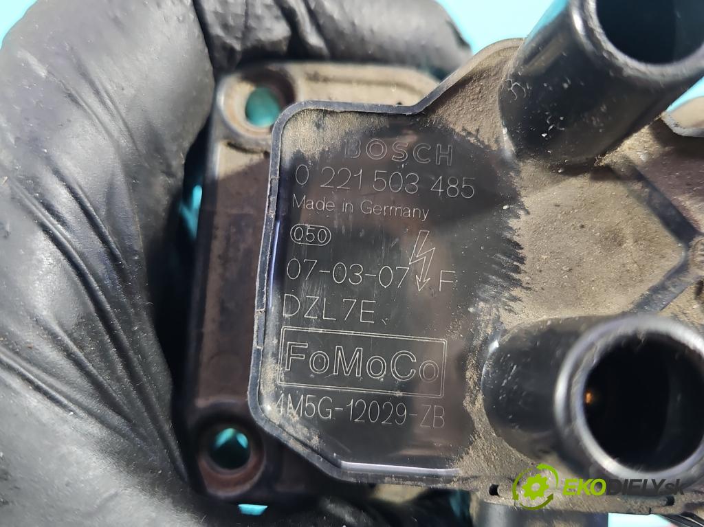 Ford Mondeo Mk4 2007-2014 1.6 16V 125 HP manual 92 kW 1596 cm3 5- cievka zapaľovacia 0221503485 (Zapaľovacia cievka)