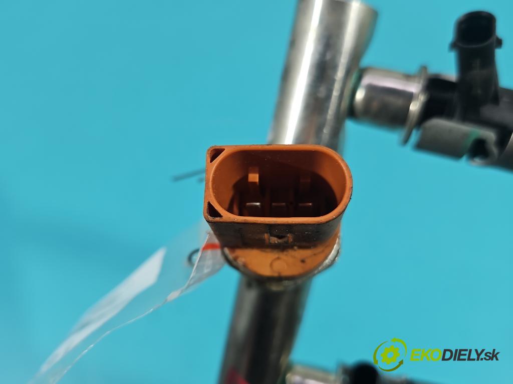 Audi A7 4G 2010-2018 4.0 V8 TFSI 420 hp automatic 309 kW 3993 cm3 5- vstrek 079133315BM (Vstrekovač paliva)