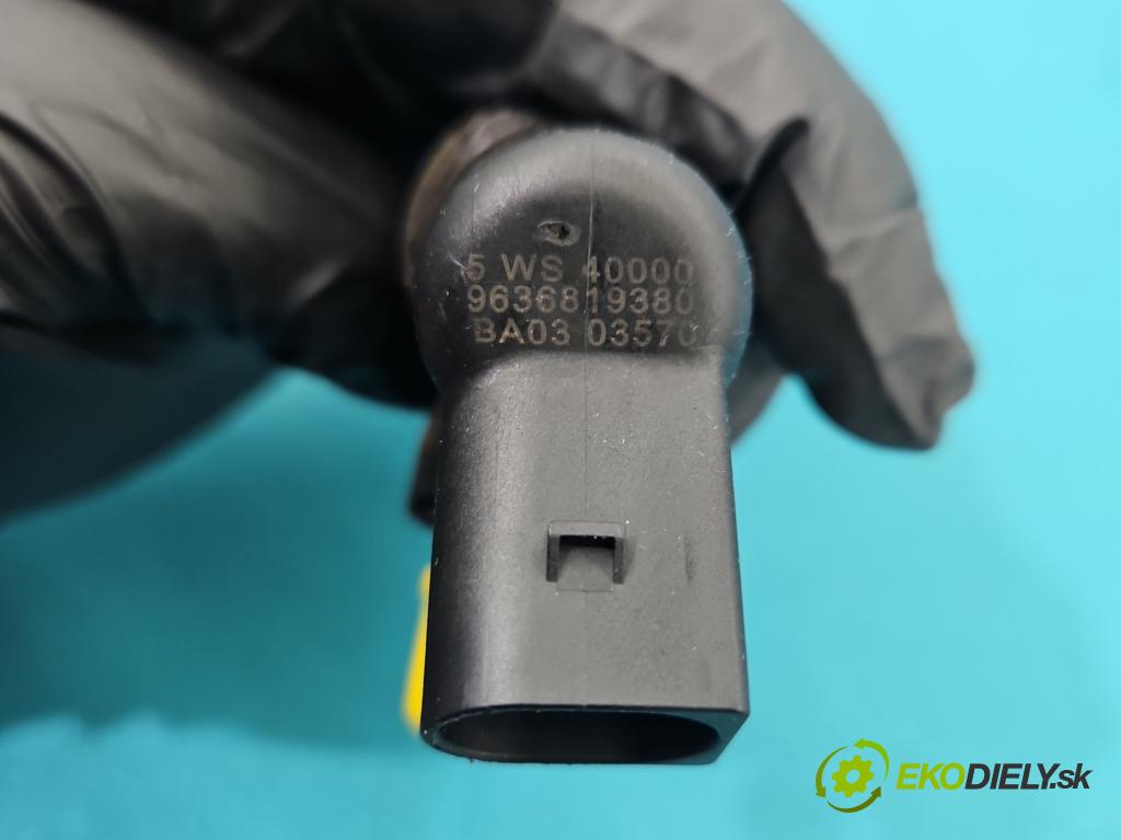 Citroen Berlingo I 1996-2008 2.0 hdi 90 HP manual 66 kW 1997 cm3 5- vstrek 9636819380 (Vstrekovač paliva)