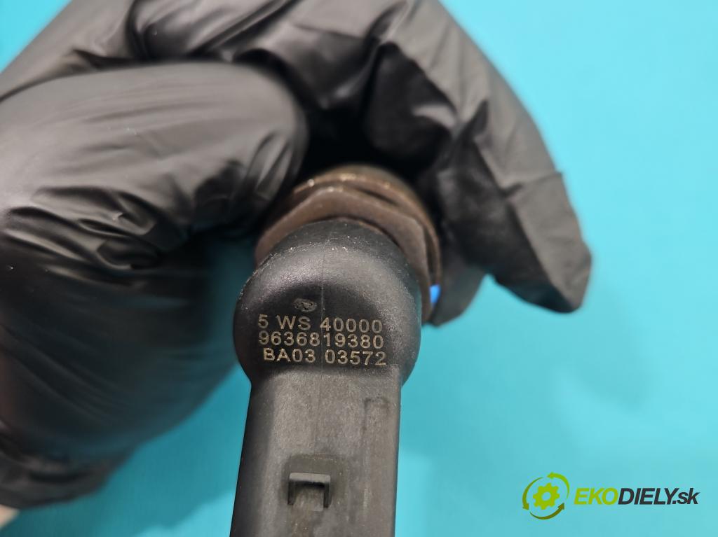 Citroen Berlingo I 1996-2008 2.0 hdi 90 HP manual 66 kW 1997 cm3 5- vstrek 9636819380 (Vstrekovač paliva)