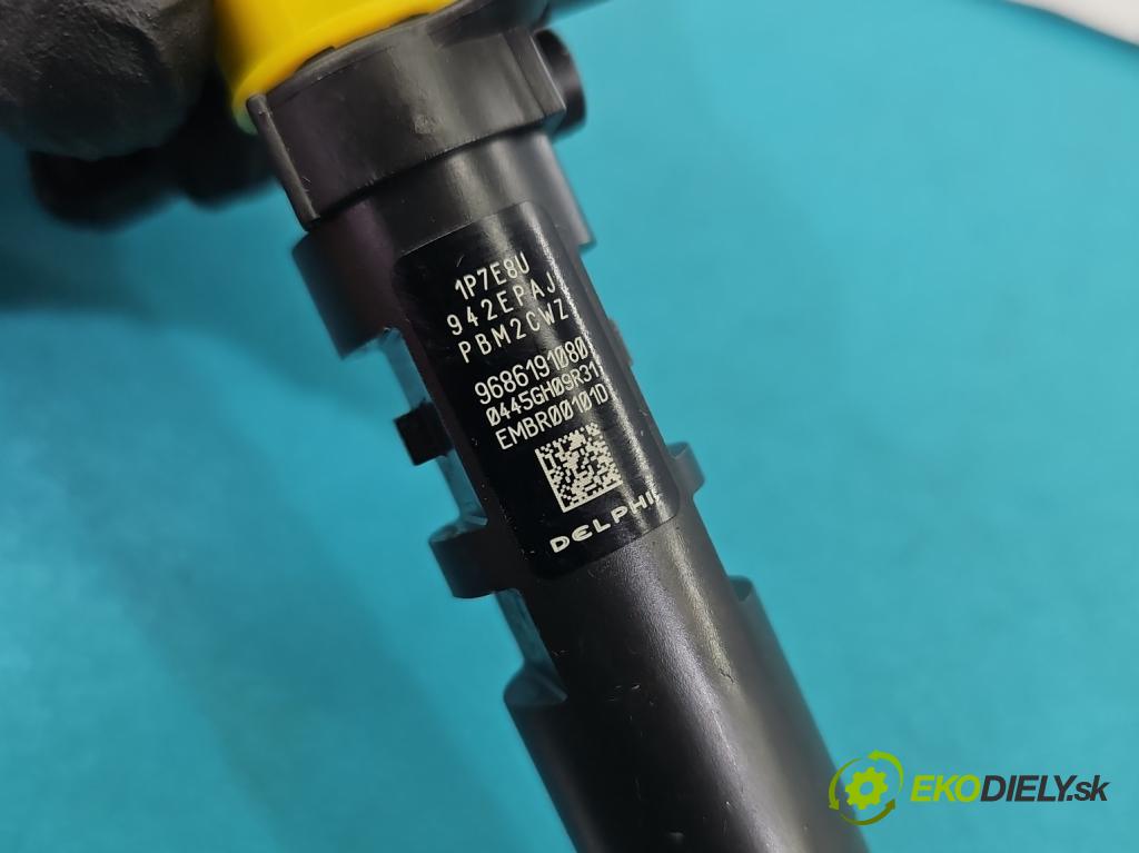 Peugeot 508 I 2010-2018 2.0 hdi 163 HP manual 120 kW 1997 cm3 5- vstrek EMBR00101D (Vstrekovač paliva)