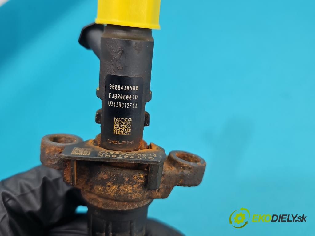 Peugeot 407 2.0 hdi 136 HP manual 100 kW 1997 cm3 4- vstrek EJBR06001D (Vstrekovač paliva)