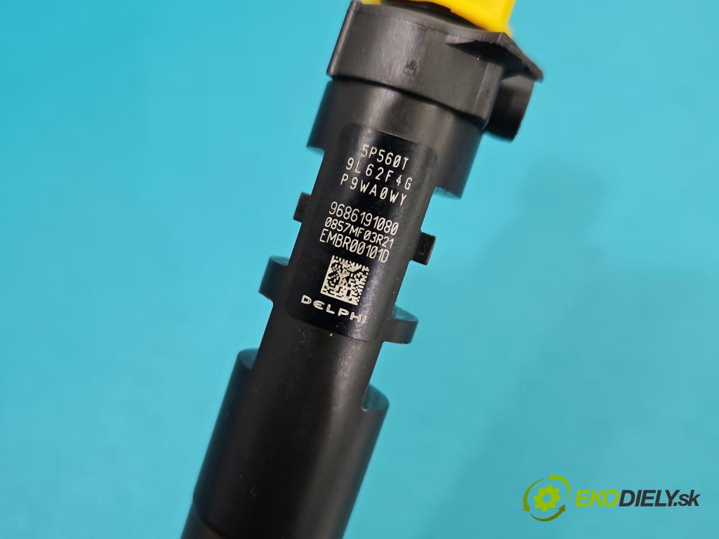 Ford Focus Mk3 2010-2018 2.0 tdci 116 HP automatic 85 kW 1997 cm3 5- vstrek EMBR00101D (Vstrekovač paliva)