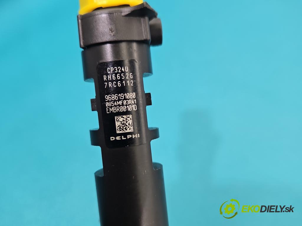 Ford Focus Mk3 2010-2018 2.0 tdci 116 HP automatic 85 kW 1997 cm3 5- vstrek EMBR00101D (Vstrekovač paliva)