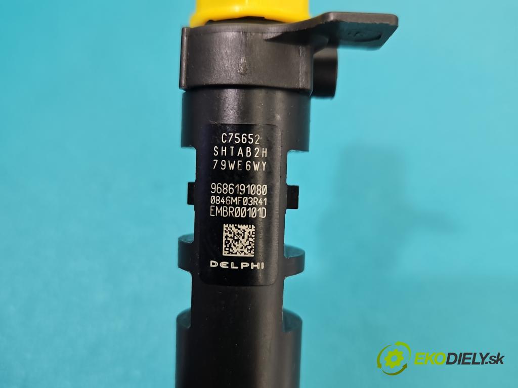 Ford Focus Mk3 2010-2018 2.0 tdci 116 HP automatic 85 kW 1997 cm3 5- vstrek EMBR00101D (Vstrekovač paliva)