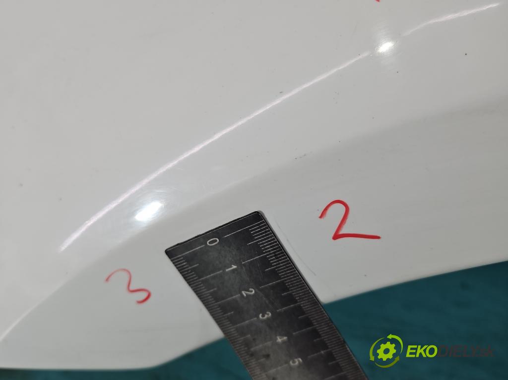 Skoda Octavia III 2013- 1.6 tdi 90 hp manual 66 kW 1598 cm3 5- blatnik přední levý  (Levý přední blatník)