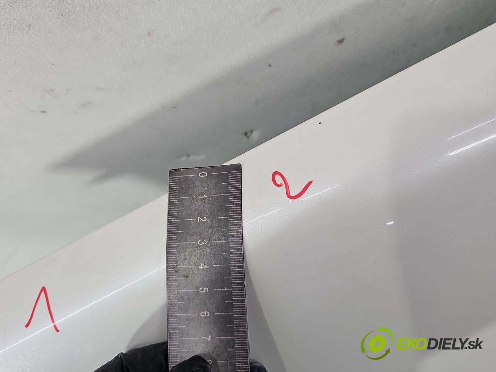 Renault Koleos I 2008-2016 2.0 dci 150 HP manual 110 kW 1995 cm3 5- blatník predné ľavý  (Blatník predný ľavý)