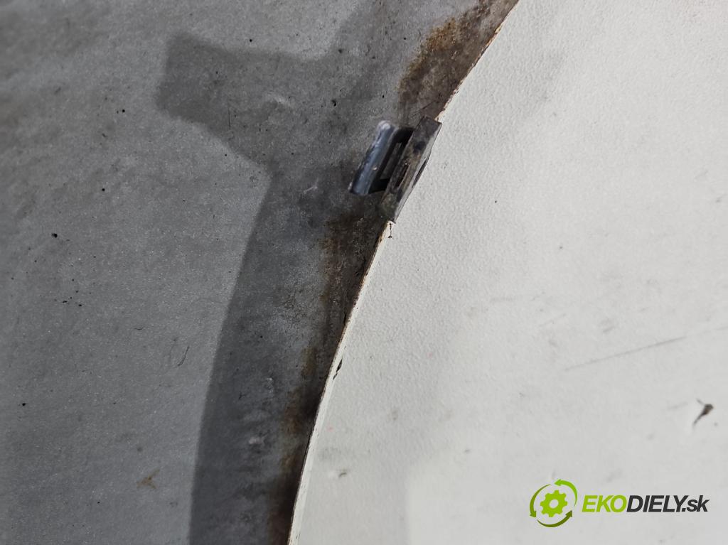 Renault Koleos I 2008-2016 2.0 dci 150 HP manual 110 kW 1995 cm3 5- blatník predné ľavý  (Blatník predný ľavý)