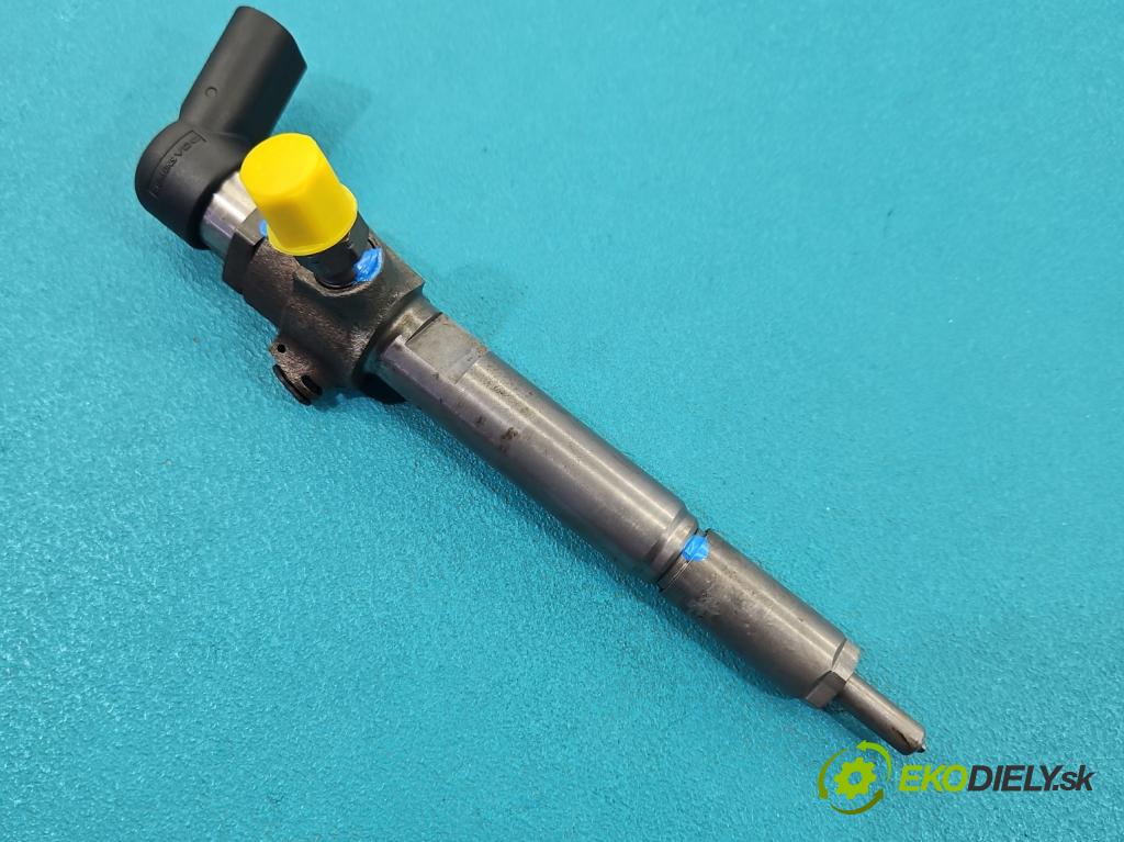 Renault Scenic II 2003-2009 1.5 dci 106 HP manual 78 kW 1461 cm3 5- vstrek 8200380253 (Vstrekovač paliva)