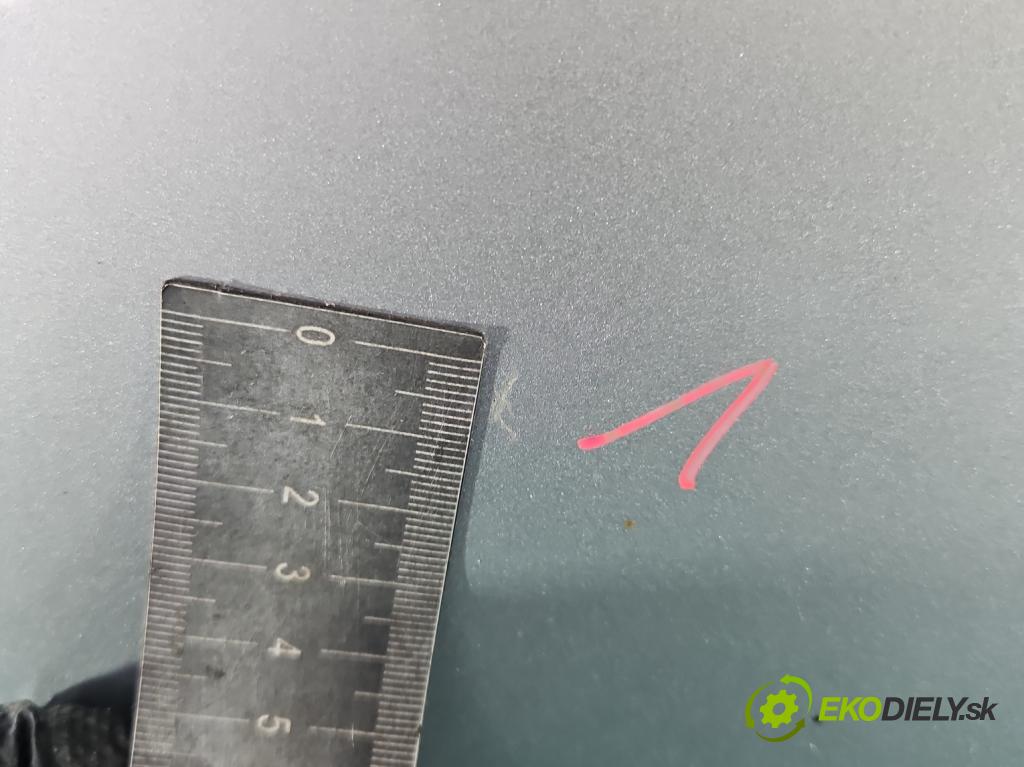 Peugeot 207 1.4 8V 73 hp manual 54 kW 1360 cm3 3- dveře přední pravé  (Klika dveří ostatní)