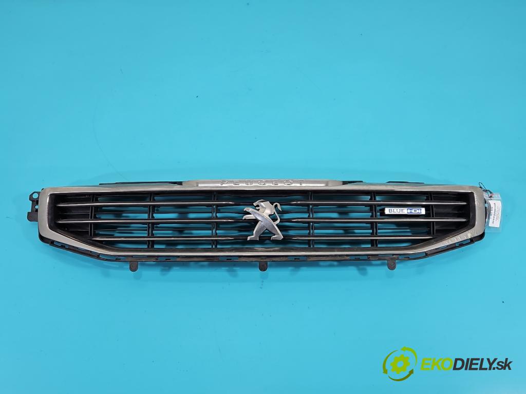 Peugeot 508 I 2010-2018 2.0 hdi 150 hp manual 110 kW 1997 cm3 4- mřížka 9807631077