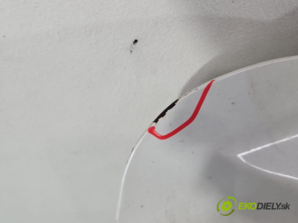 Renault Koleos I 2008-2016 2.0 dci 150 hp manual 110 kW 1995 cm3 5- zadní kufrové dveře  (Zadní kapota (kufr))