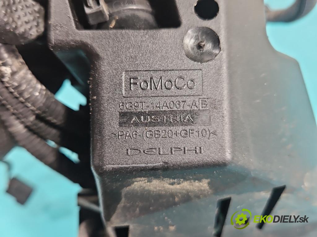 Ford Galaxy Mk2 2006-2015 2.0 tdci 131 hp manual 96 kW 1997 cm3 5- skříňka pojistková 6G9T-14A067-A (Pojistková skříňka)