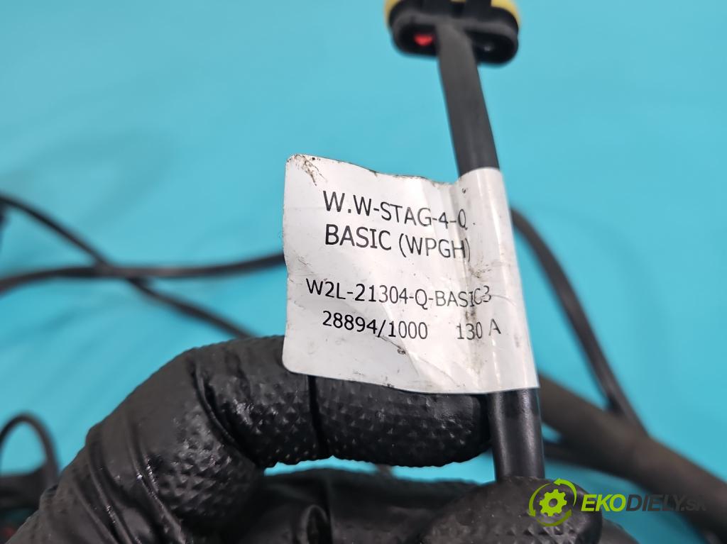 Ford C-Max I 2003-2010 1.8 16V 120 hp manual 88 kW 1798 cm3 5- instalace LPG STAG 4 QBOX BASIC