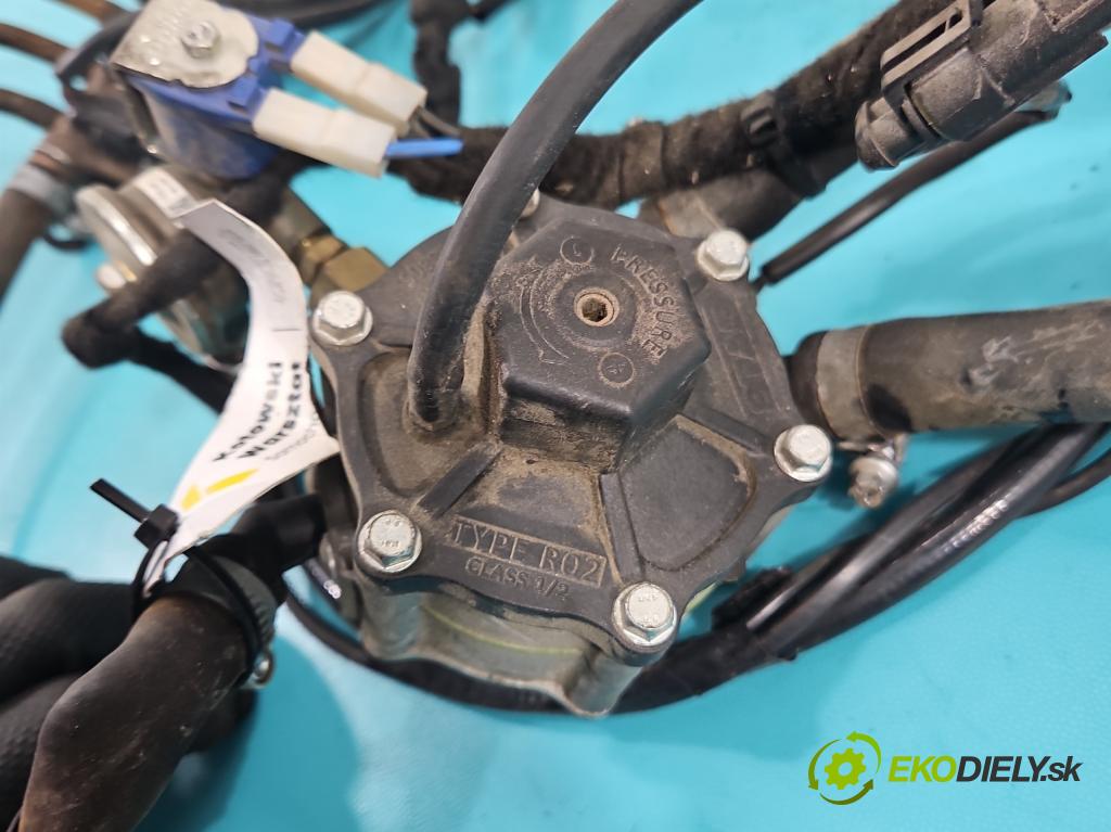 Renault Scenic I 1996-2003 1.6 16V 107 HP manual 79 kW 1598 cm3 5- instalace LPG STAG 4 QBOX BASIC