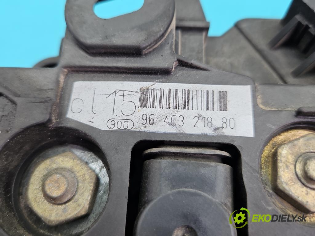 Citroen C4 I 2004-2011 1.6 HDI 109 HP manual 80 kW 1560 cm3 3- Alternator 9646321880 (Alternátor)