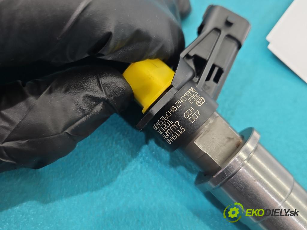 Renault Koleos I 2008-2016 2.0 dci 150 HP manual 110 kW 1995 cm3 5- vstrek 0445115007 (Vstrekovač paliva)