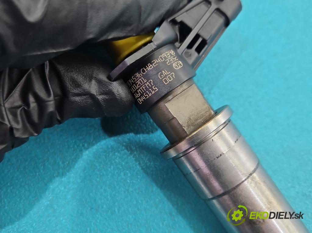 Renault Koleos I 2008-2016 2.0 dci 150 HP manual 110 kW 1995 cm3 5- vstrek 0445115007 (Vstrekovač paliva)