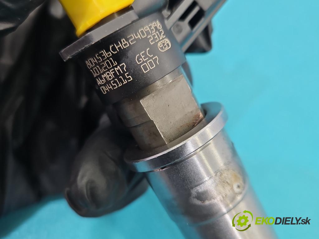 Renault Koleos I 2008-2016 2.0 dci 150 HP manual 110 kW 1995 cm3 5- vstrek 0445115007 (Vstrekovač paliva)