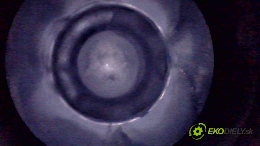 Audi A4 B8 2007-2015 2.7 tdi 190 HP automatic 140 kW 2698 cm3 4- motor diesla CAM