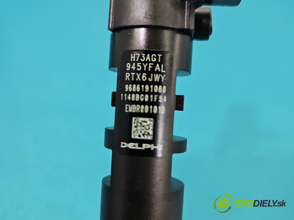 Citroen C5 II 2008-2017 2.0 hdi 163 HP automatic 120 kW 1997 cm3 5- vstrek EMBR00101D (Vstrekovač paliva)