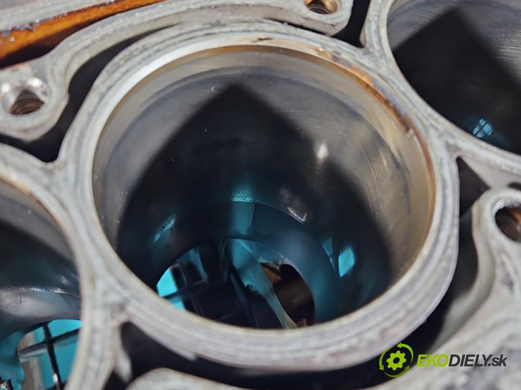 Seat Altea 1.6 SR XL 102 HP manual 75 kW 1595 cm3 5- Blok motora 06B103019AK (Blok motora)