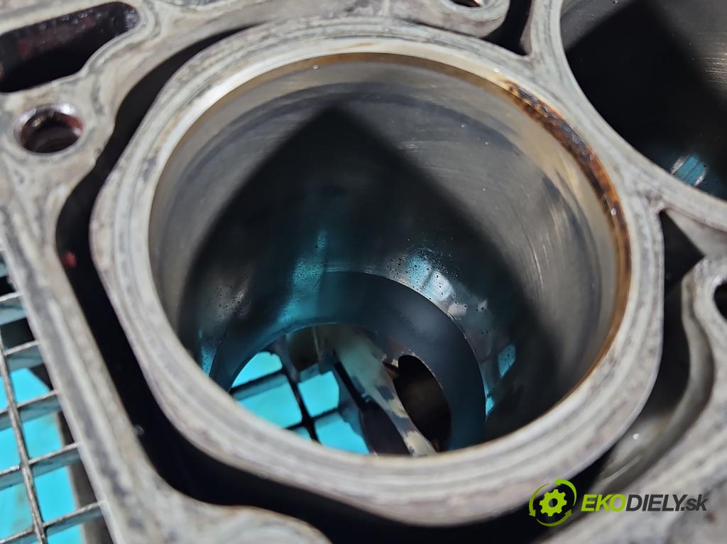 Seat Altea 1.6 SR XL 102 HP manual 75 kW 1595 cm3 5- Blok motora 06B103019AK (Blok motora)