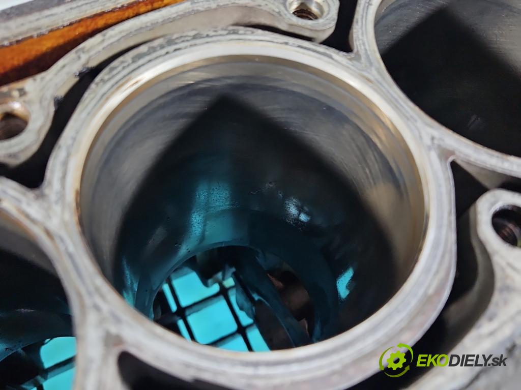 Seat Altea 1.6 SR XL 102 HP manual 75 kW 1595 cm3 5- Blok motora 06B103019AK (Blok motora)