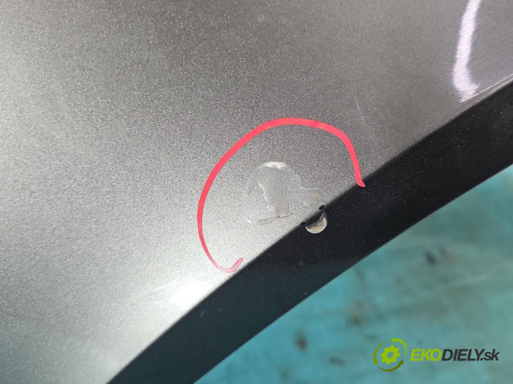 Renault Laguna II 2001-2007 1.9 DCI 101 hp manual 74 kW 1870 cm3 5- blatnik přední levý  (Levý přední blatník)