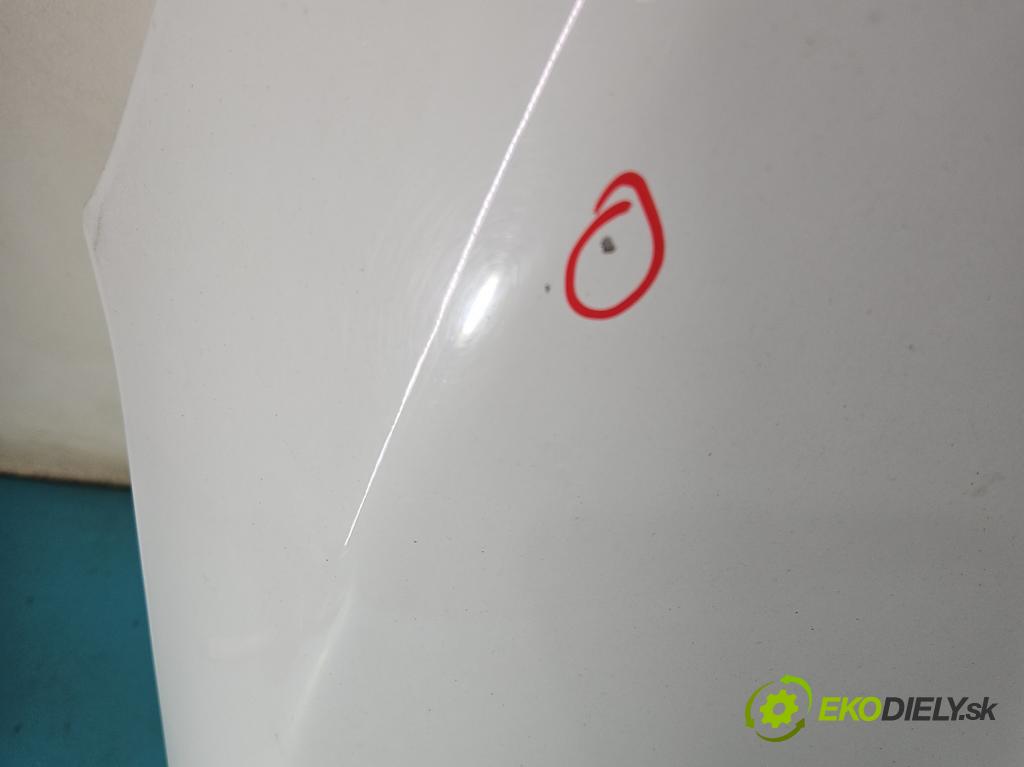 Dacia Dokker 2012- 1.3 TCE: 102 HP manual 75 kW 1332 cm3 5- kapota predná