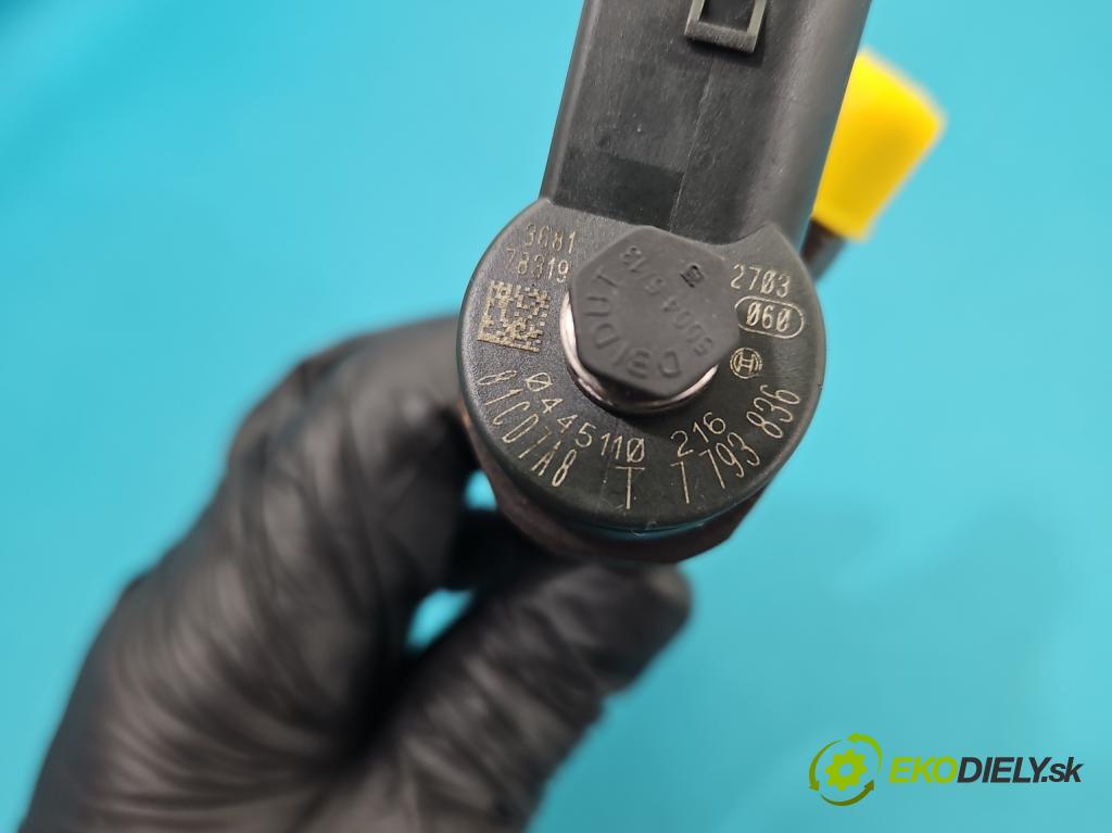 Bmw 3 E90 2005-2013 2.0d 163 HP manual 120 kW 1995 cm3 5- vstrek 0445110216 (Vstrekovač paliva)