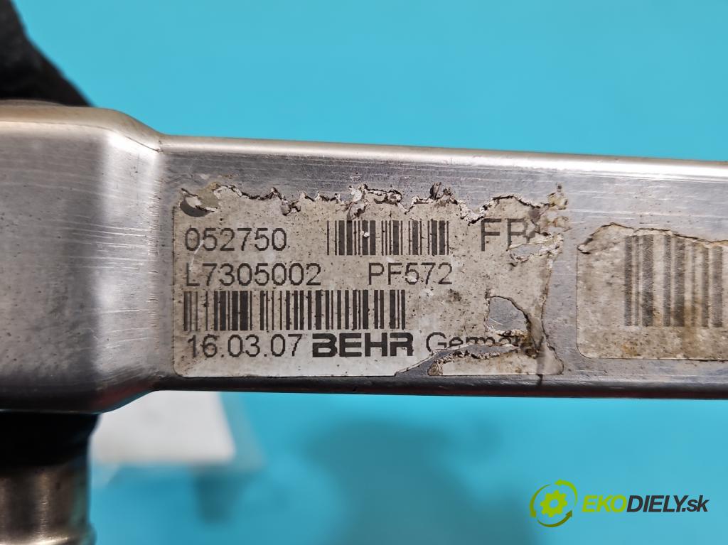 Bmw 3 E90 2005-2013 2.0d 163 hp manual 120 kW 1995 cm3 5- Chladič spalin