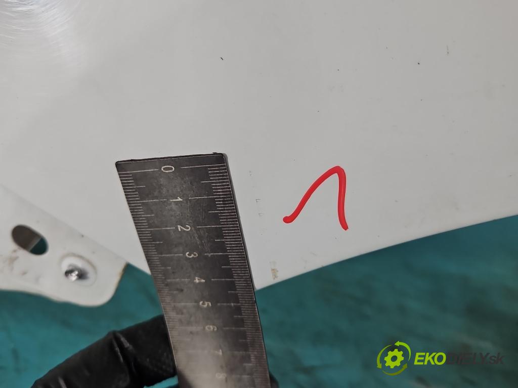 Dacia Dokker 2012- 1.3 TCE: 102 hp manual 75 kW 1332 cm3 5- blatnik přední levý  (Levý přední blatník)