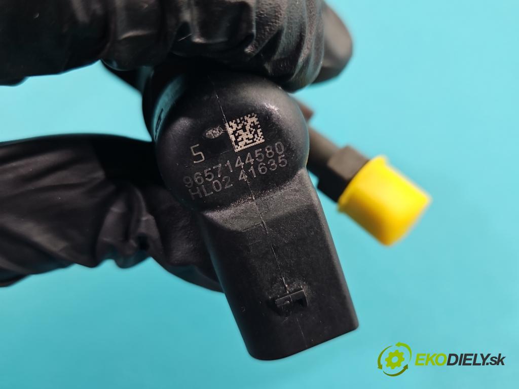 Ford Kuga Mk1 2008-2013 2.0 tdci 136 HP manual 100 kW 1997 cm3 5- vstrek 9657144580 (Vstrekovač paliva)