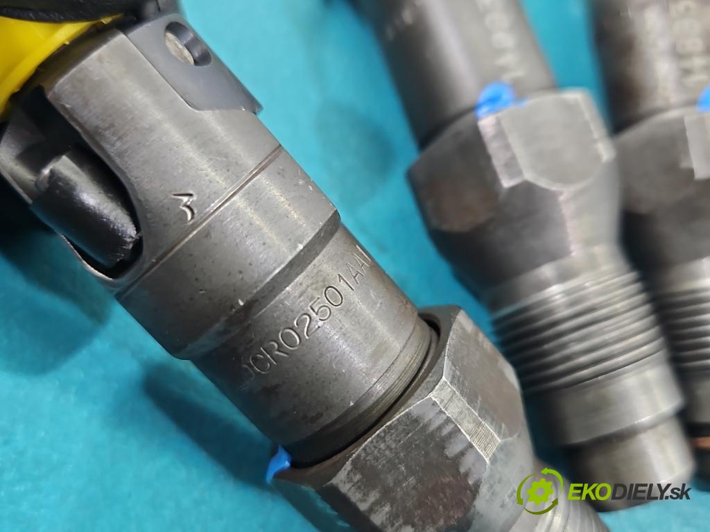 Citroen Berlingo I 1996-2008 1.9d 69KM manual 51 kW 1868 cm3 5- vstrek LDCR02501AA1 (Vstrekovač paliva)