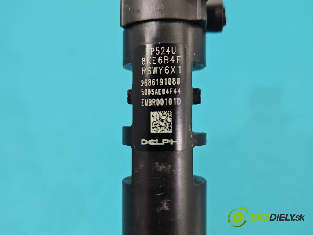 Citroen C4 II 2010-2017 2.0 hdi 150 HP manual 110 kW 1997 cm3 5- vstrek EMBR00101D (Vstrekovač paliva)