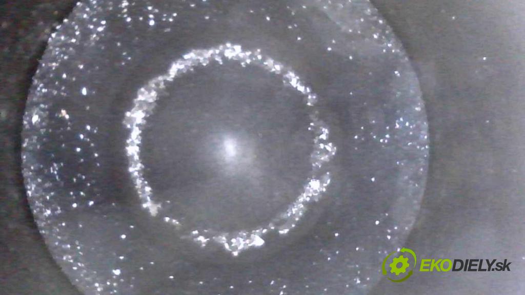 Renault Scenic III 2009-2016 1.6 dci 131 HP manual 96 kW 1598 cm3 5- motor diesla R9MC404