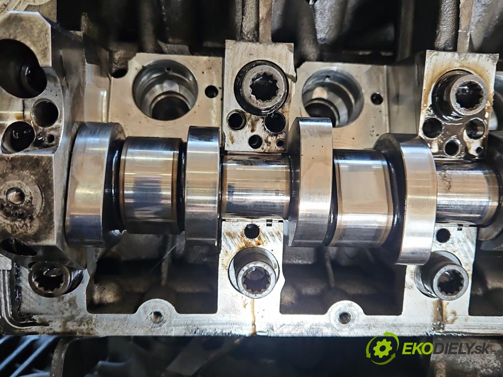 Audi A4 B7 2004-2008 1.9 TDI 116 HP manual 85 kW 1896 cm3 5- motor diesla BKE