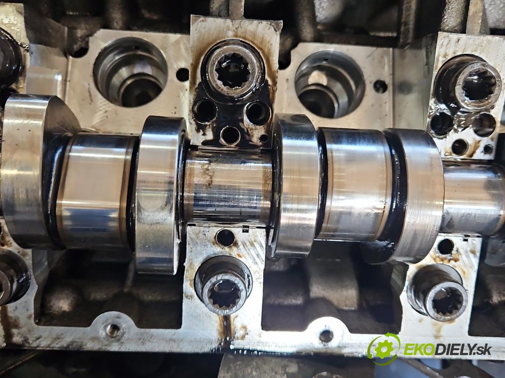 Audi A4 B7 2004-2008 1.9 TDI 116 HP manual 85 kW 1896 cm3 5- motor diesla BKE