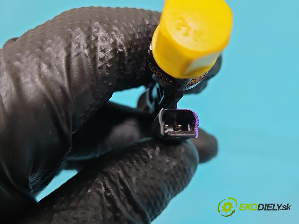 Bmw 5 F10 2010-2017 2.0 T 245KM automatic 180 kW 1997 cm3 4- vstrek 7597870 (Vstrekovač paliva)