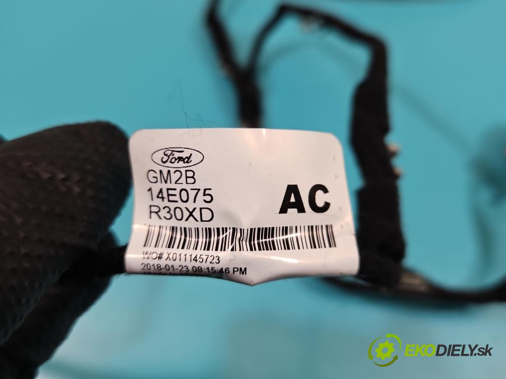 Ford S-max II 2015-2023 2.0 tdci 150 hp automatic 110 kW 1995 cm3 5- Podsvícení GM2B-14E075-R30XD