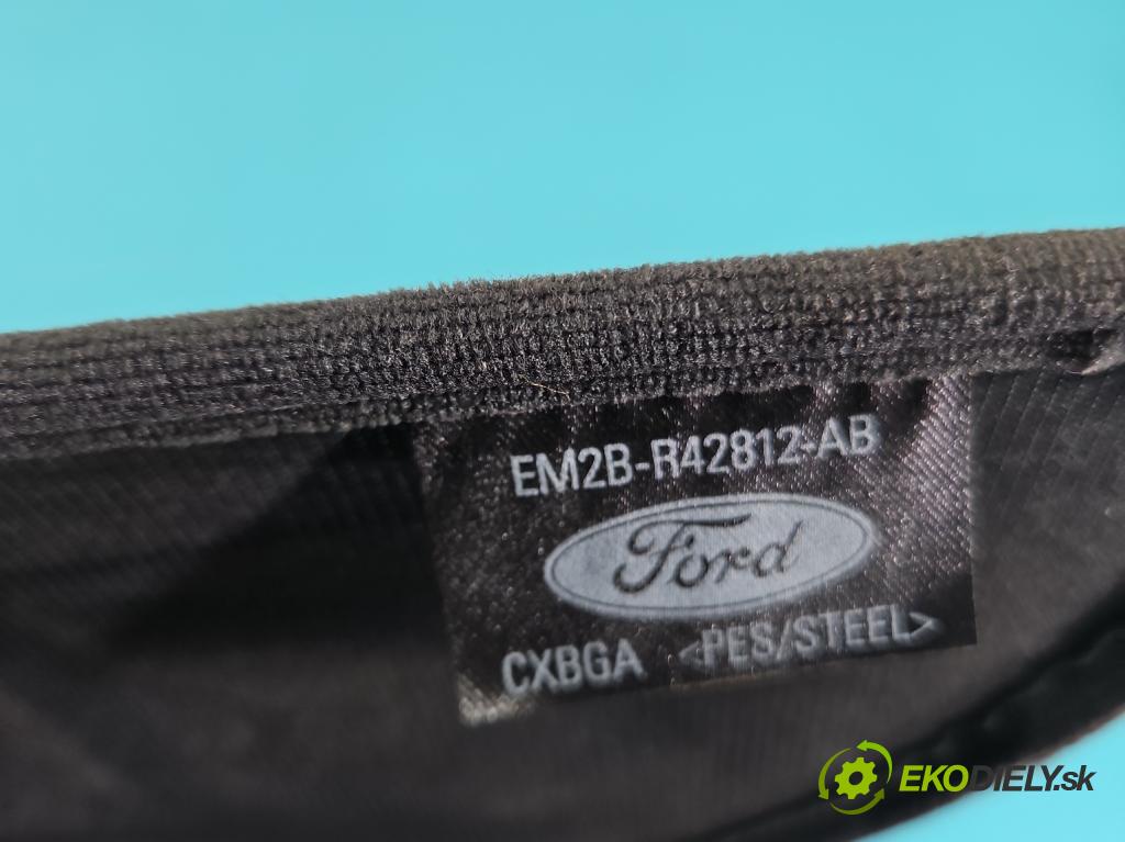 Ford S-max II 2015-2023 2.0 tdci 150 HP automatic 110 kW 1995 cm3 5- zadná EM2B-R42812-AB (Pláto kufra)